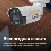 комплект системы видеонаблюдения cesar wfp61d-mg320ch, 4 камеры и видеорегистратор